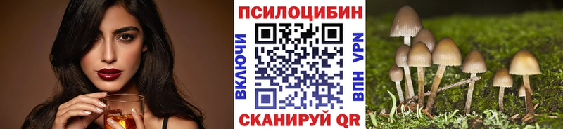 KRAKEN как войти  Старая Русса  Псилоцибиновые грибы ЛСД 
