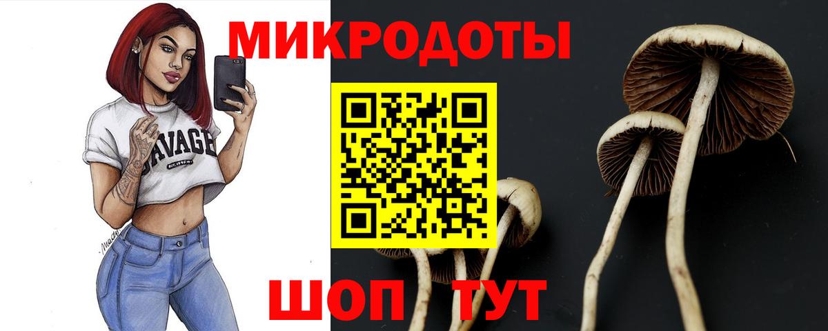 Псилоцибиновые грибы Psilocybine cubensis  Псилоцибиновые грибы MAGIC MUSHROOMS  Вход с VPN  дарнет шоп  Старая Русса 